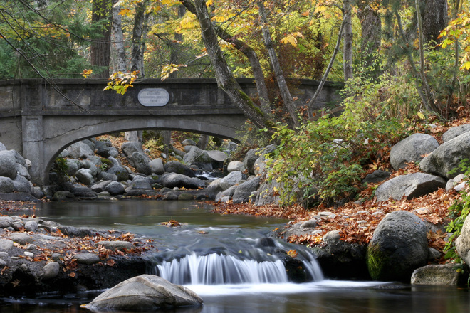 are dogs allowed in lithia park in ashland oregon